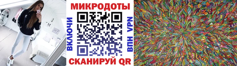 Купить где  Батайск  Псилоцибиновые грибы Cubensis 